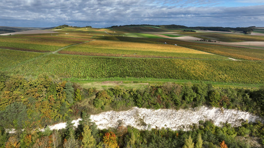 Die Weinberge der Winzerchampagner Produzentin Hélène Charbaut.