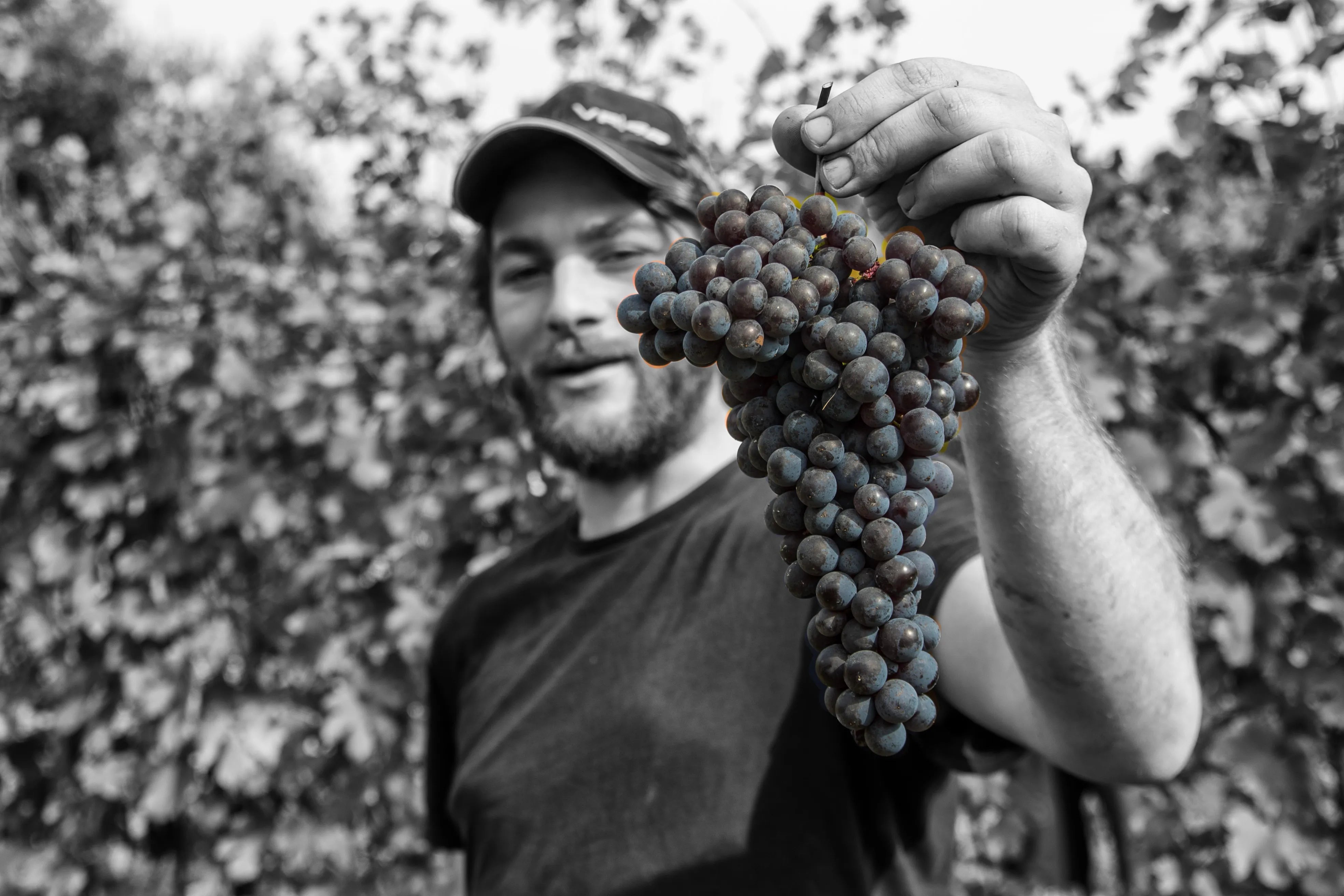 Diego Conterno
