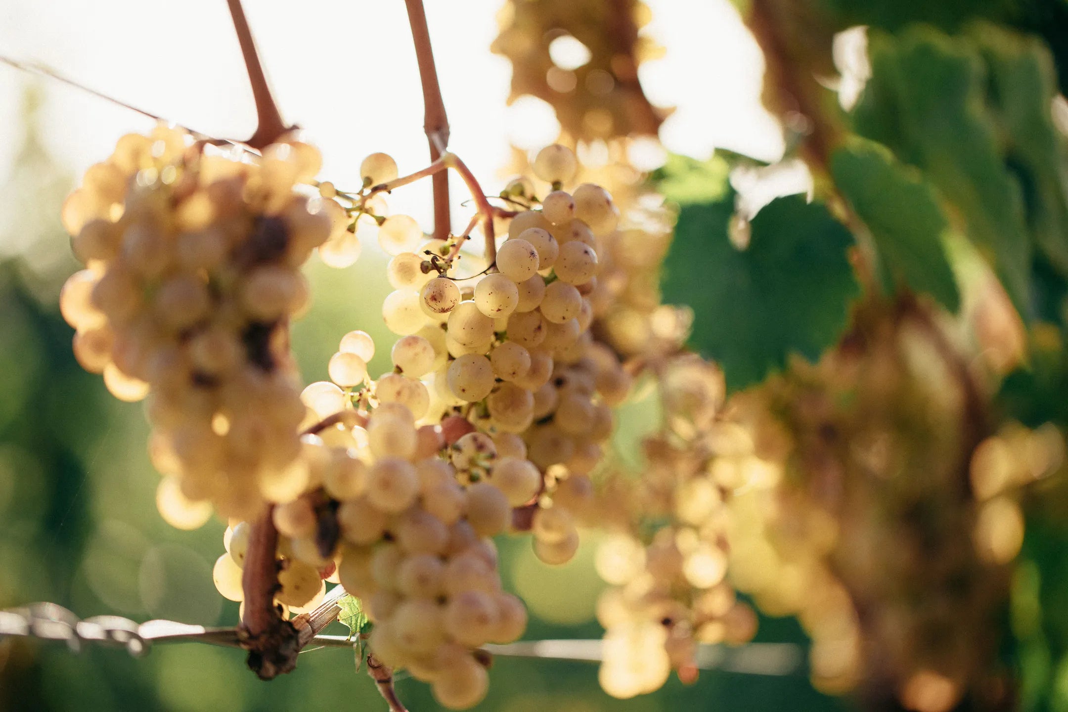Kontakt