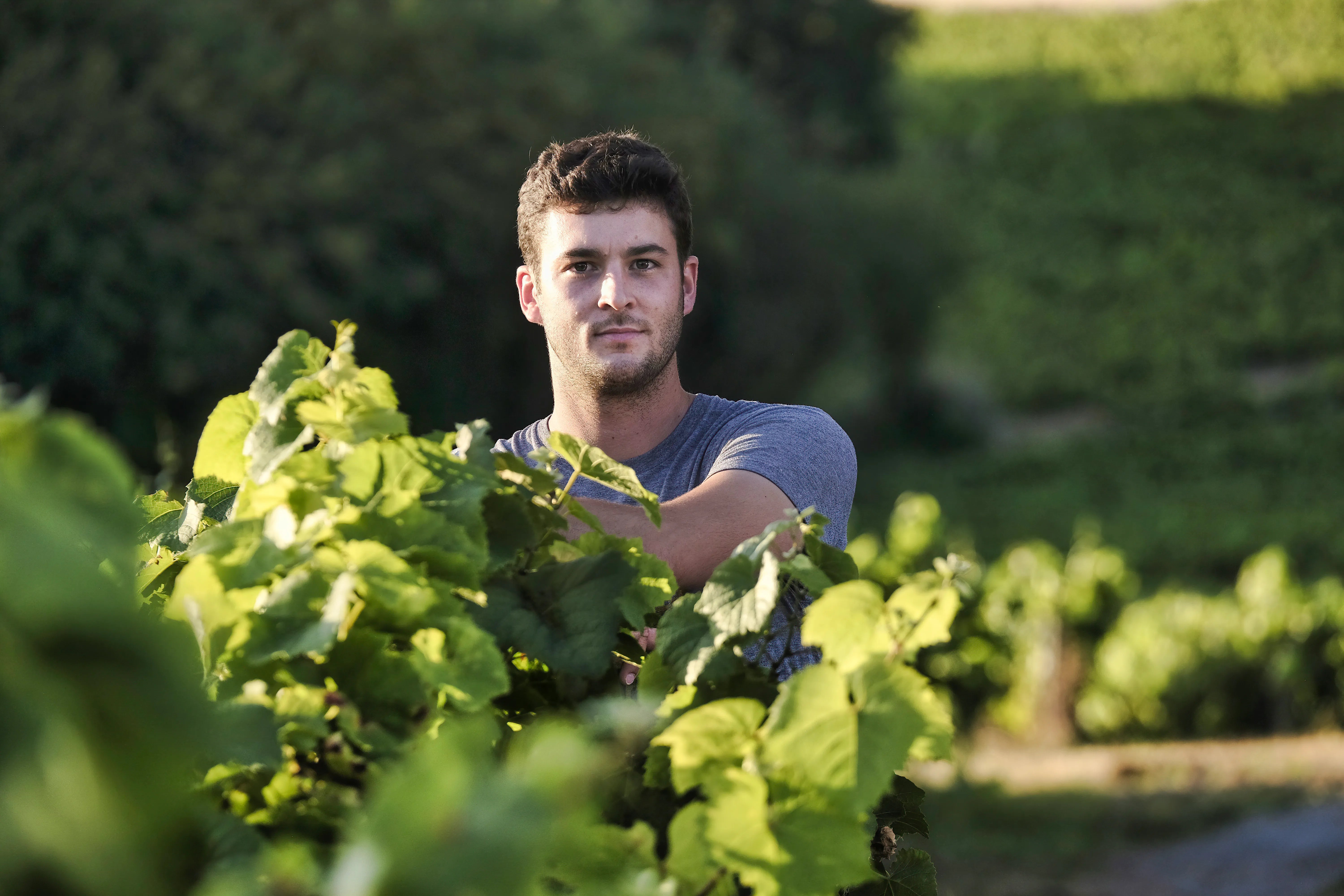 Domaine de la Combe