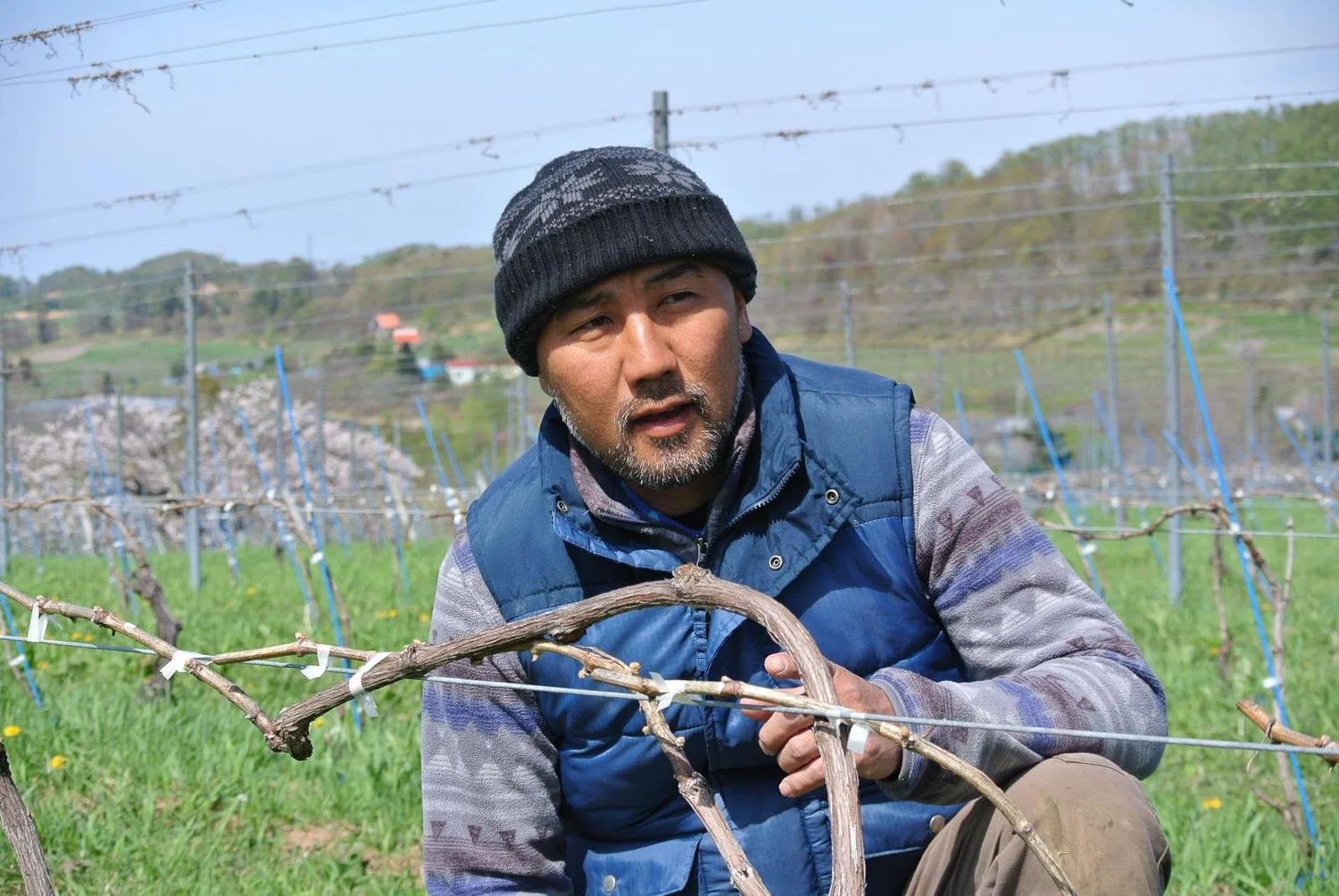 Domaine Takahiko