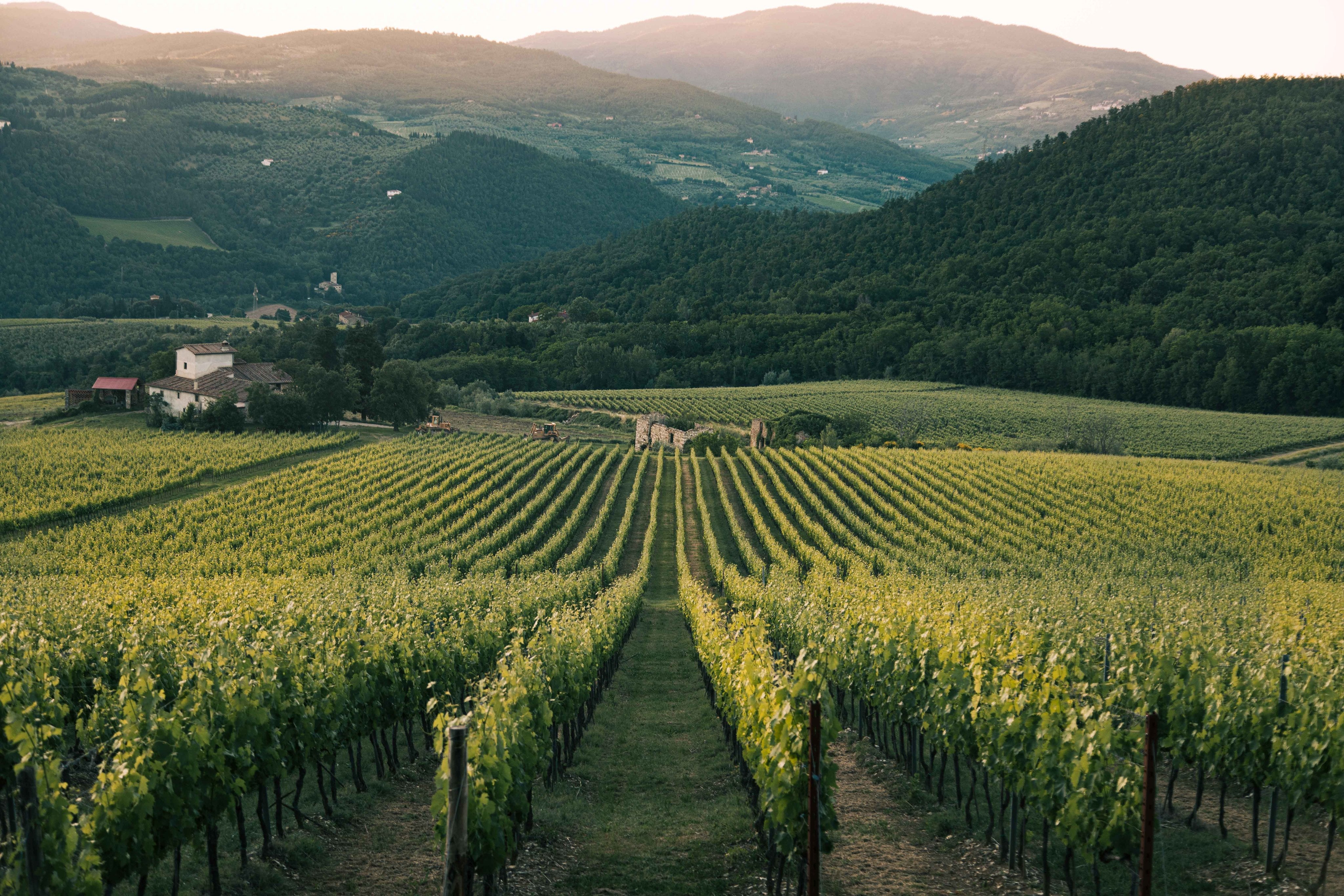 Chablis